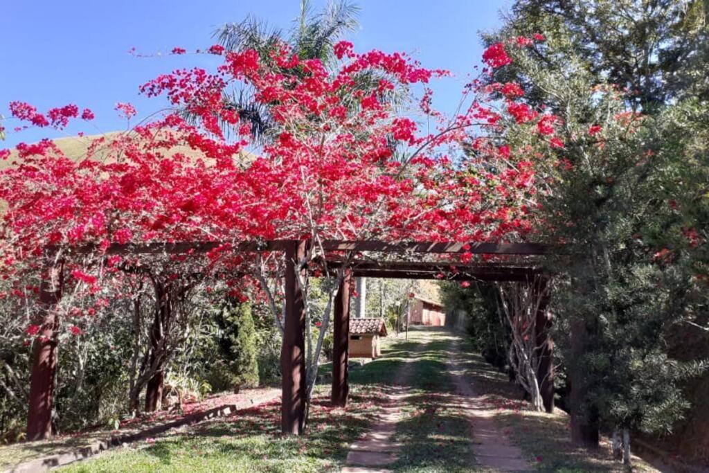 Refugio Paradisiaco Em Frente A Serra Da Bocaina ! Holiday home